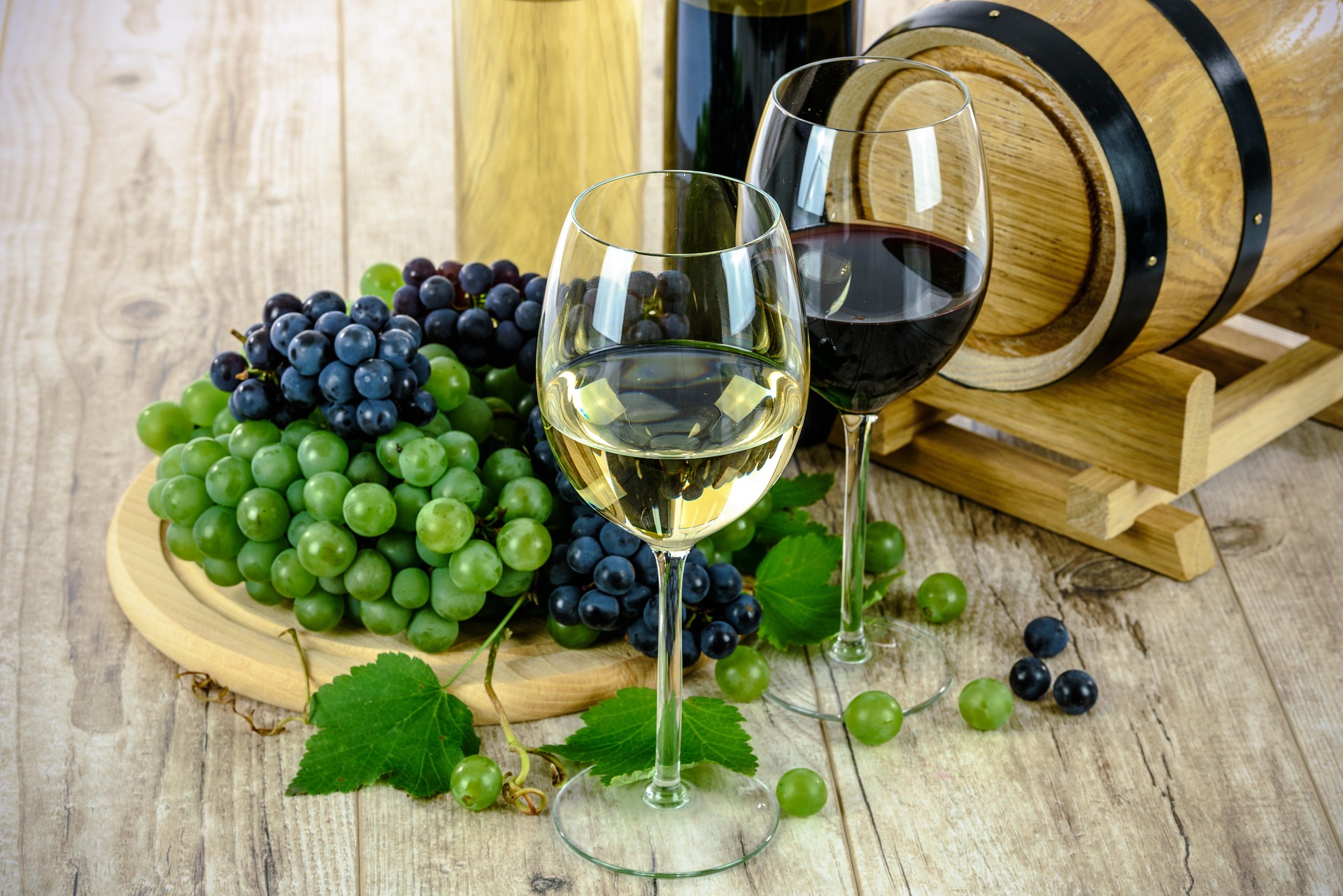 Niagara wine country vineyard